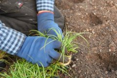 csm_186518.rgb_296054e1db