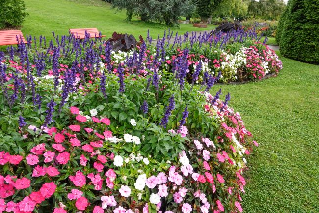 03_Blumenbeet_Wellenform_DSC02844