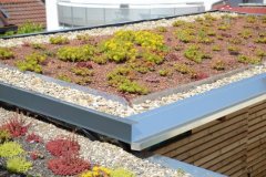 csm_197742.rgb_e01de6aa57