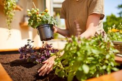 csm_200436.rgb_89b34993ff