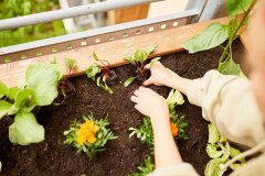 csm_200438.rgb_27b0710eba