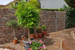 garten-wirksam-gegen-laerm-schuetzen garten-wirksam-gegen-laerm-schuetzen