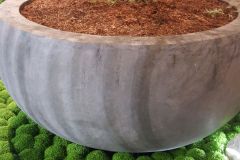 Topf_Mulch