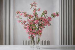 Barbarazweige_Malus_WE-15093 Barbarazweige_Malus_WE-15093