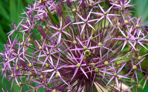 AdobeStock_351405696