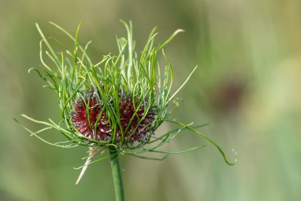 AdobeStock_371582718