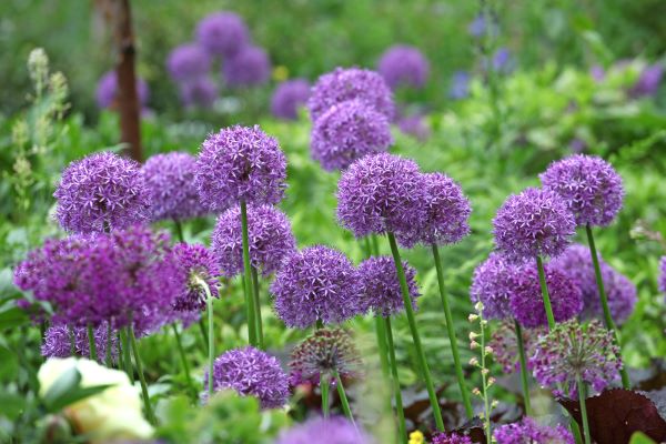 AdobeStock_509217813