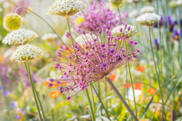 AdobeStock_609316367