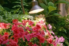 csm_185920.rgb_f27fd5a21a