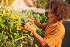 csm_204549.rgb_d20ce46339
