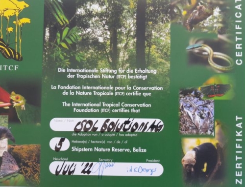 Zertifikat zur Rettung des Tropenwaldes