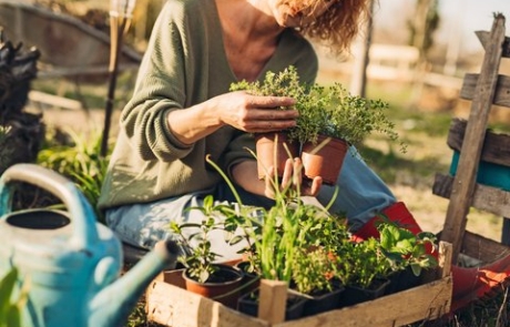 So blüht der Garten nachhaltig auf