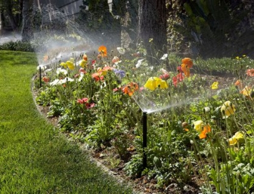 Clever giessen, Wasser sparen