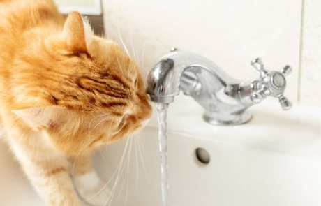 Sicherheit für unser wertvolles Trinkwasser