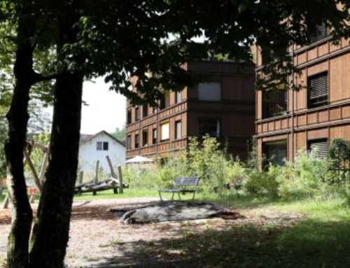Zukunftsfähige Regenwasserbewirtschaftung in Arealen