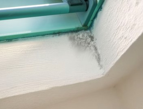 Richtig lüften im Winter