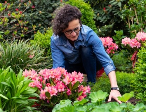 Grüner Daumen optional