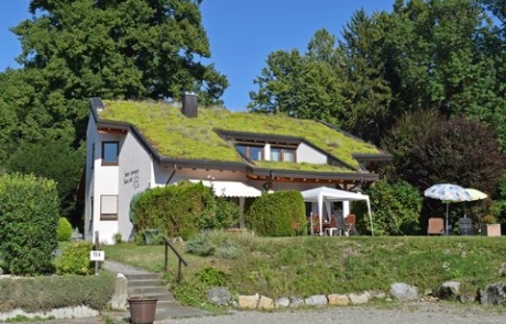 Mehr Grün für Haus und Garage