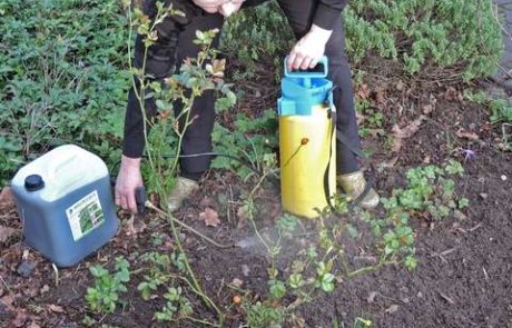 Mit Vorsprung ins nächste Gartenjahr