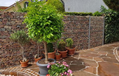 Garten wirksam gegen Lärm schützen
