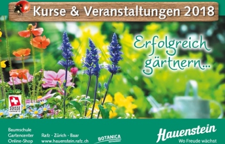 Hauenstein Kurse & Veranstaltungen im Juni
