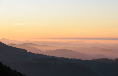 Holzenergie – wärmt Heim und Herz, kühlt Klima