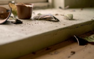 Versicherung beim Umzug