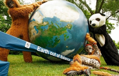 WWF-Bericht - 2,4 Millionen Quadratkilometer globaler Waldverlust seit 1990